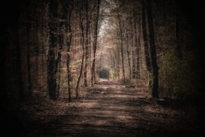 六本木で静かな個室がある歯医者はどこですか？