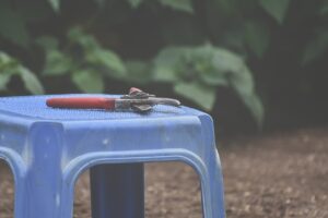 歯黄ばみを自分で落とす方法が知りたい？