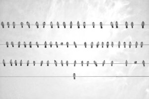 恋愛において歯が白い人が好印象を与える理由とは？