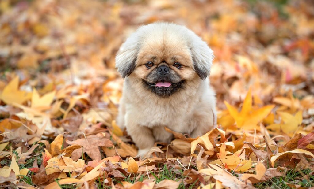 マウスウォッシュの効果を他の製品と比較すると何が違うの？