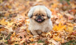 マウスウォッシュの効果を他の製品と比較すると何が違うの？