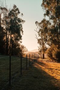 社会人が知っておくべき歯茎下がりの対策は？