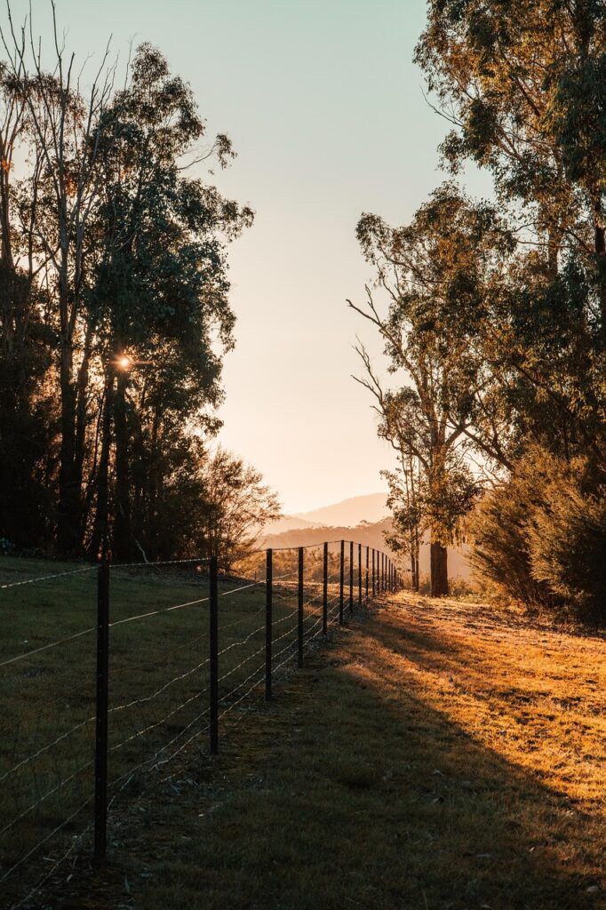 社会人が知っておくべき歯茎下がりの対策は？