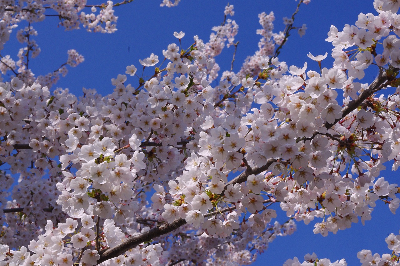 札幌でのホワイトニングを個室で受ける際の相談ポイントは？