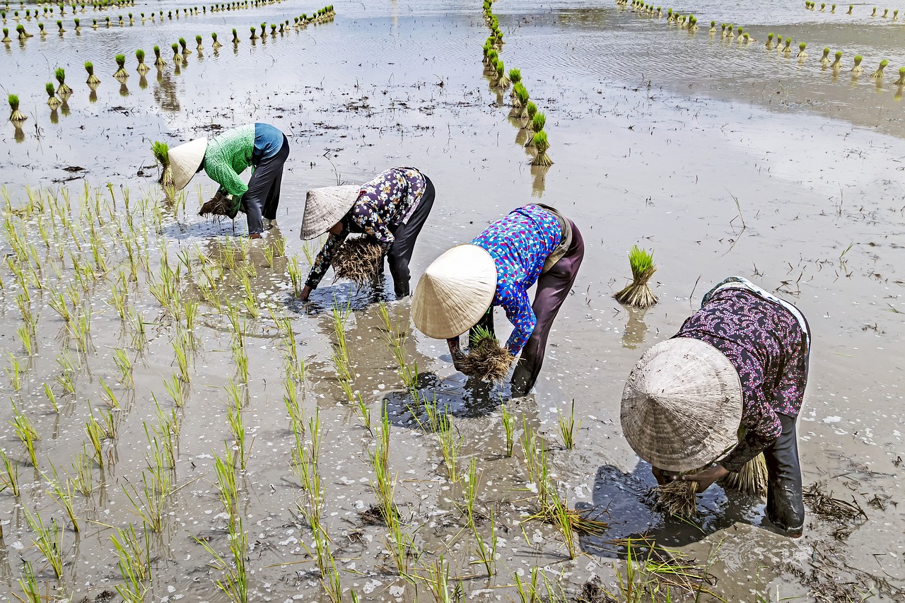 札幌でインプラント治療を受ける際の個室利用の注意点は？