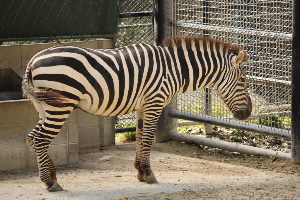 福岡の完全予約制個室歯科の予約方法は？