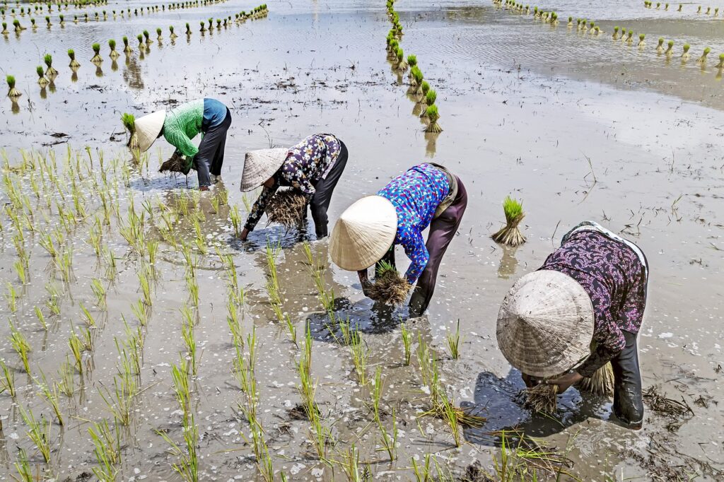 静岡のインプラント治療における個室利用の料金はどのくらい？