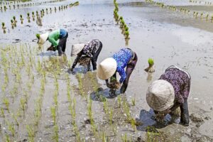 静岡のインプラント治療における個室利用の料金はどのくらい？